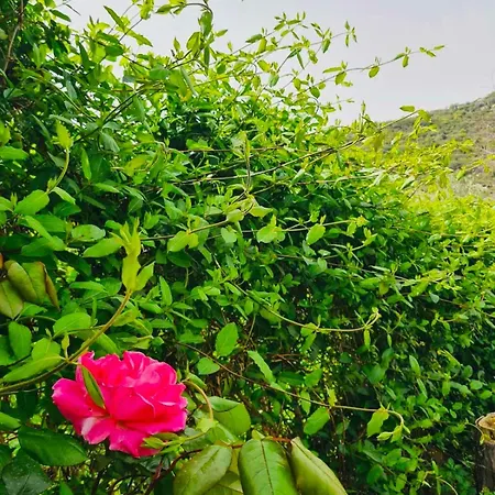 Vila Sea-side Mountain *