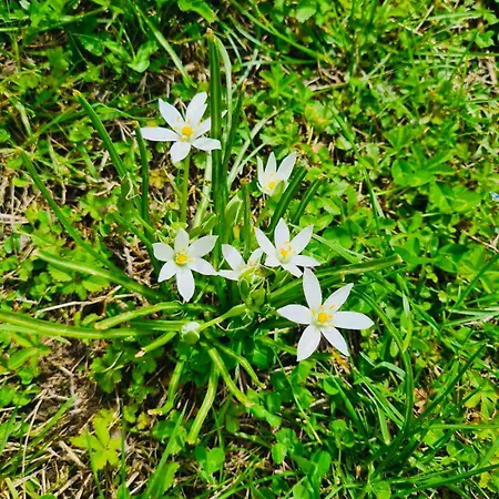 Sea-side Mountain Vila *