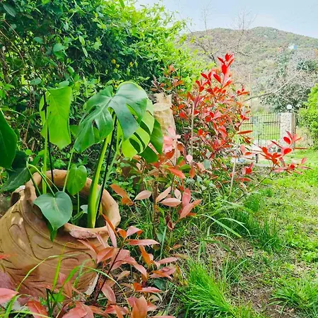 Sea-side Mountain * Nea Iraklitsa