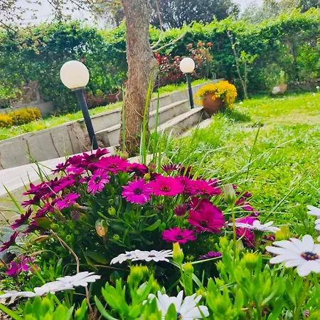 Vila Sea-side Mountain