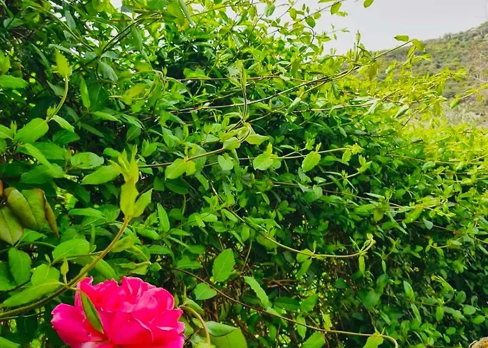 Vilă Sea-side Mountain *