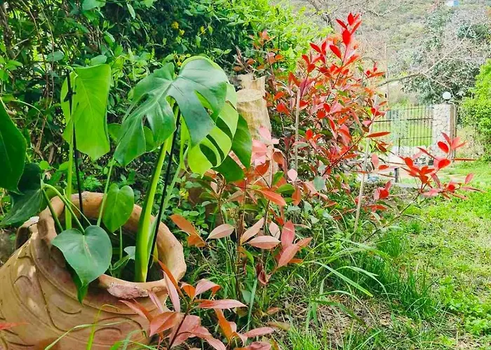 Sea-side Mountain * Nea Iraklitsa